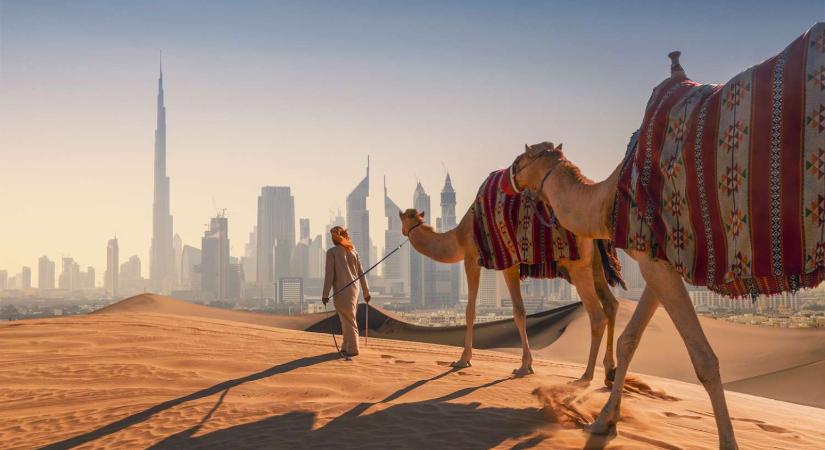 Menekülés a luxusból: a kutyának nem kell dubaji ingatlan