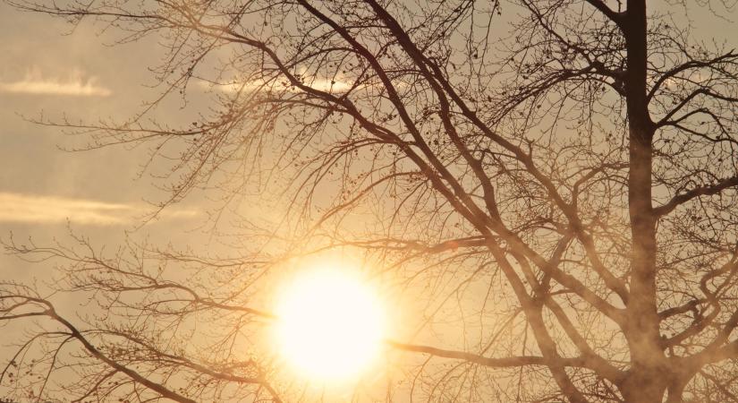 Megvolt az első idei 20 Celsius-fok