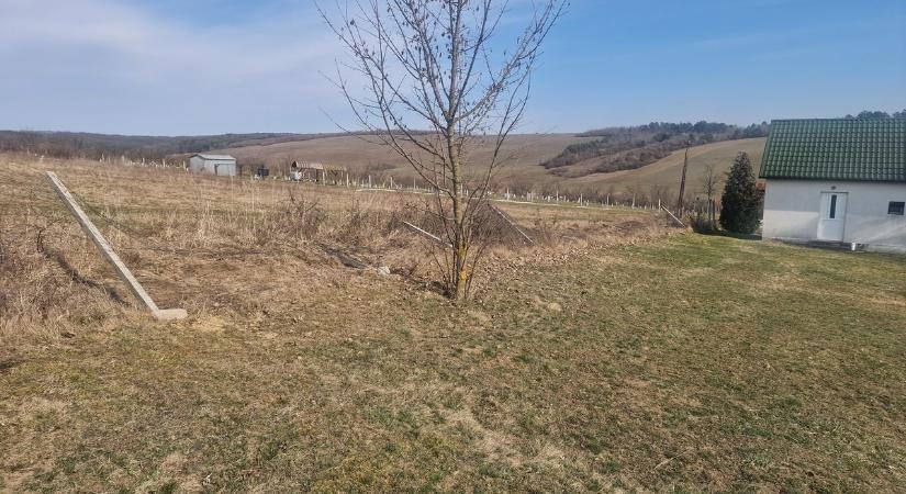 Döbbenetes farkastámadás a borsodi falu határában két áldozattal – fotók!