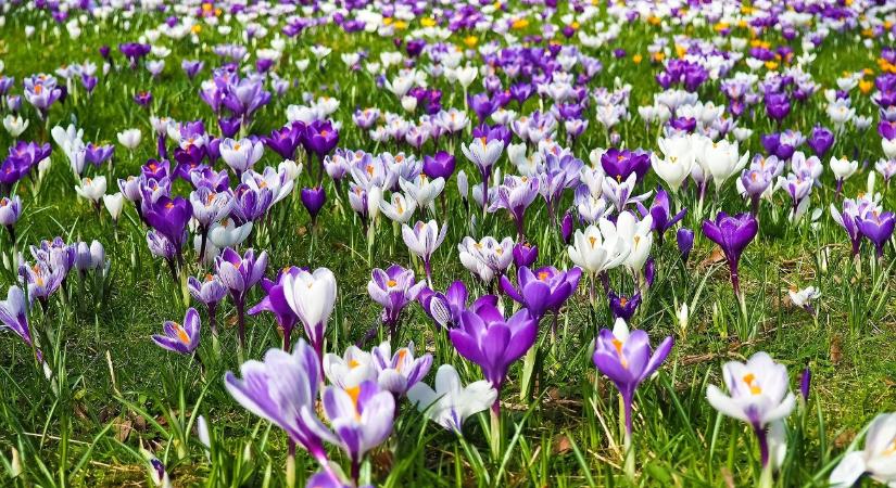 Szerdán 20 Celsius-fok fölé emelkedett a hőmérséklet