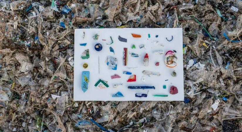 Furcsa fordulatot vett a világ egyik legnagyobb környezeti katasztrófája