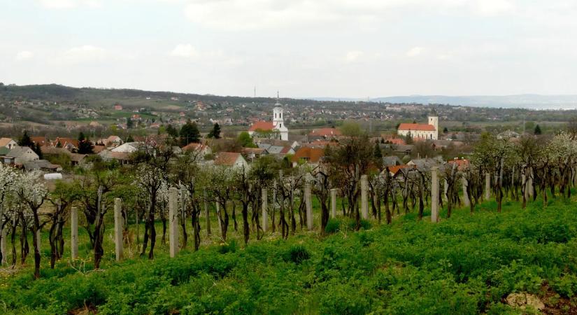 Besokalltak a Balatonnál: nem akarnak zajos nyaralóövezetet