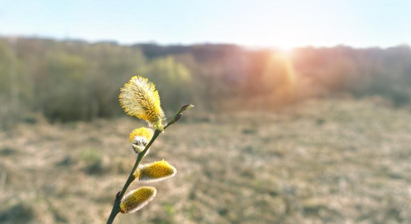 Fordulat jön az időjárásban: napsütés után záporok csaphatnak le – mutatjuk, hol!