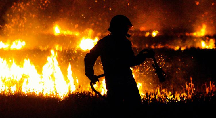 Egyre több erdő károsodhat Európában a klímaváltozás miatt