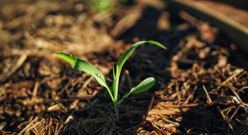 Ennek végleg leáldozott a magyar földeken: ráfizethet az, aki nem vált