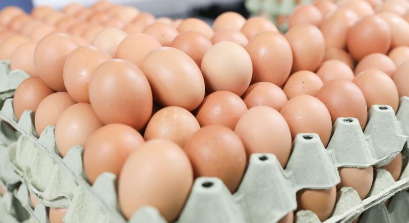 Tojásár-körkép: ennyit kell most fizetni a kedvenc reggeli alapanyagért