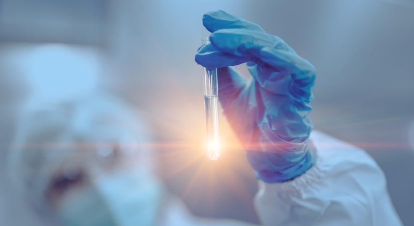 Magyar kutatók menthetik meg a burgonyát a veszélyes baktériumtól