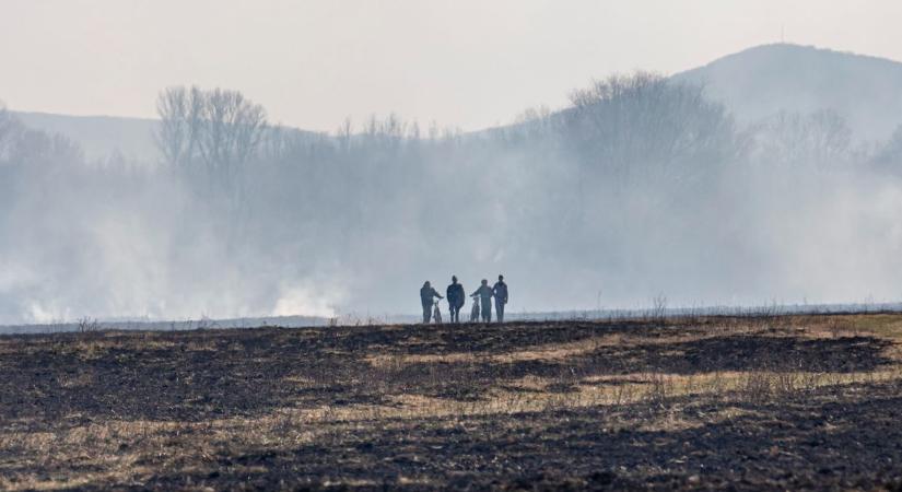 Korom, füst és lángok az abaúji határban - fotók, videó!