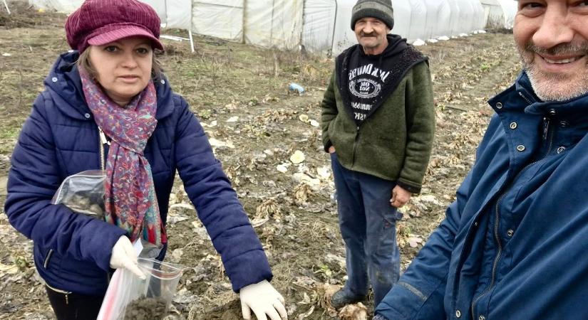 Lignitprogram: csíkszeredai laborba kerültek a Kis-Küküllő menti földminták