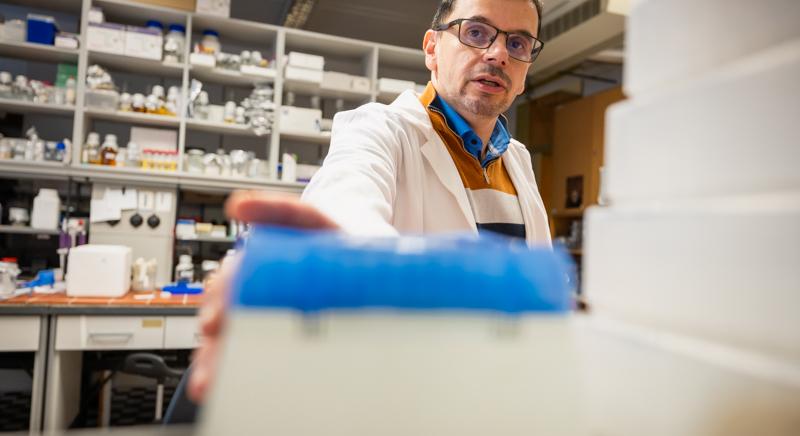 DNS-védelem: SZTE-s kutatók vizsgálják, hogyan javíthatók hatékonyabban a sugárzás okozta károsodások