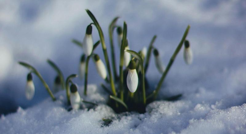 Sarki légtömeg éri el Romániát márciusban: gyökeresen megváltozik az időjárás