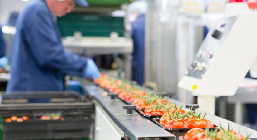 Újraosztják a lapokat a termelői szervezeteknél: ma nyílnak meg a milliós források