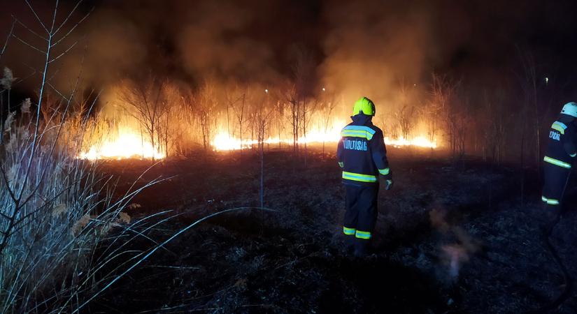 Száz négyzetméteren égett a nádas Mezőberényben