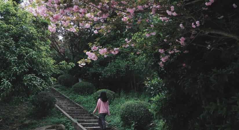 Hogyan húzd meg a határaidat a mindennapokban – 7 mondat, ami segít