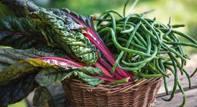 Új „szuperzöldség” jelent meg a pécsi piacokon – aki ismeri, kincsként vadászik rá