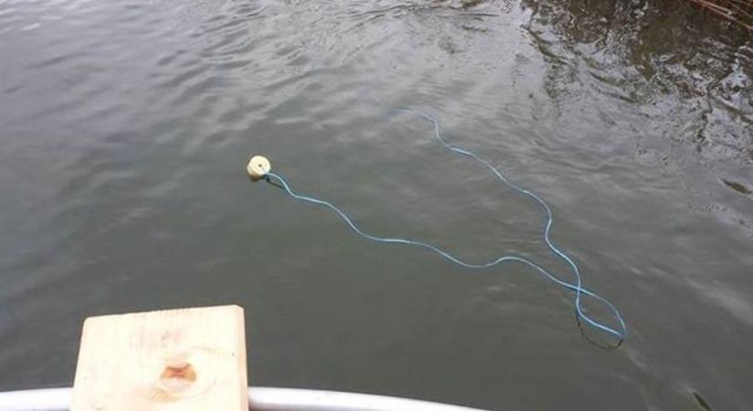 Bóják sokasága jelent meg a Tisza-tavon, most derült ki, mit jelölnek