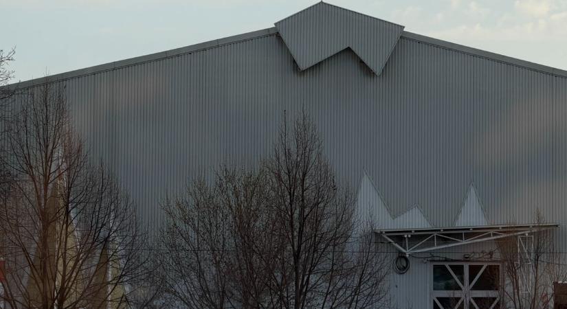 Eltévedt egy gólya Szegeden? A műjégpálya tetejéről figyelte a várost