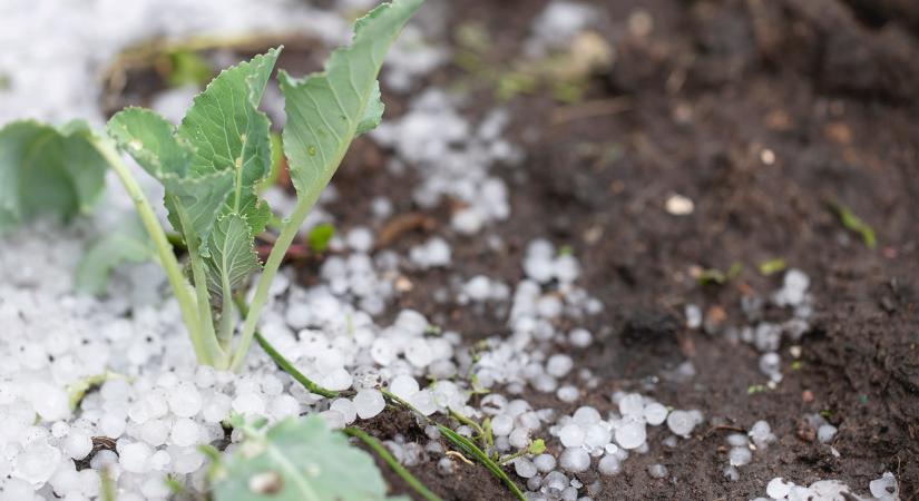 Már a déli óráktól lecsaphatnak: jéggel, villámlással jönnek a zivatarok