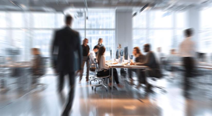 Megjelent az Álláskalauz