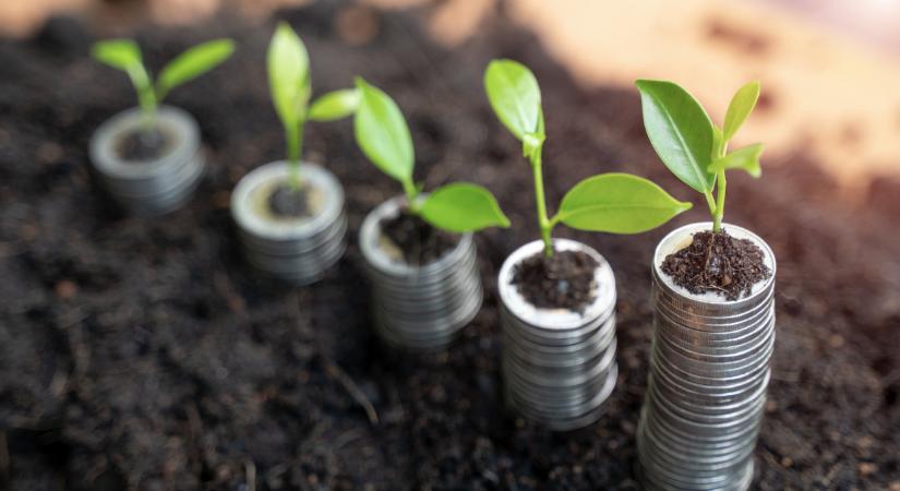 Itt az új lehetőség a gazdáknak: sokan akár 50 millióhoz is juthatnak