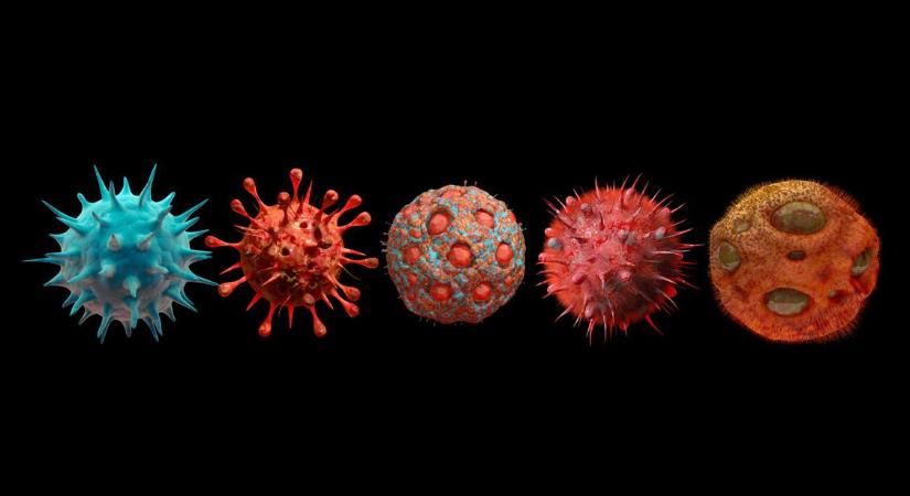 Kvíz: vírus vagy baktérium? – Melyikre igazak az állítások? Teszteld a tudásod!