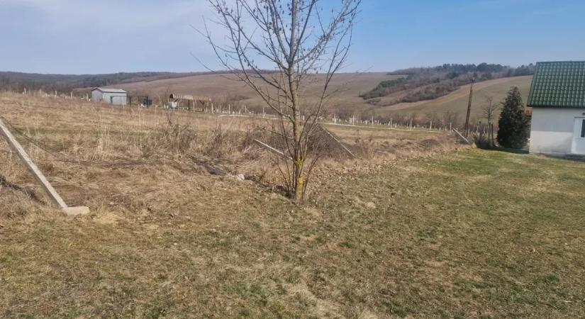 Farkasfalka támadhatott rá szarvasokra, amik ijedtükben lebontották egy borsodi falu temetőkerítését