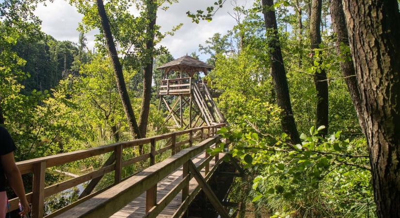Százezer felett a látogatószám, jöhet a megérdemelt felújítás Tatán
