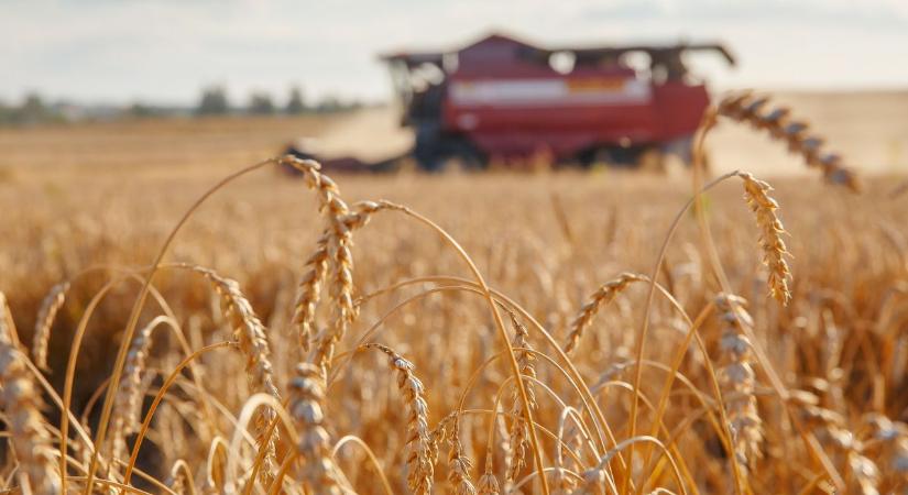 A háborús prémium már ott is megjelent, ahol a Közel-Kelet nem jelentős termelő – az energiaválság után jöhet az élelmiszerválság, de Magyarország lépett