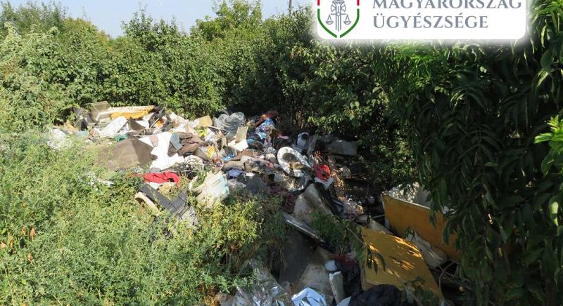 Bűncselekmény lett a gyűjtögetésből