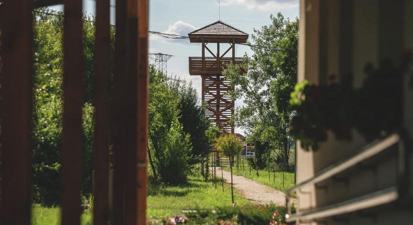 Elrendelték: zárlat és tilalom jön Hajdú-Biharban, szörnyű betegség ellen küzdenek