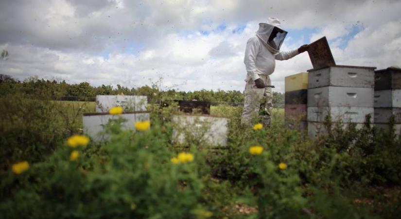Zárlatot rendeltek el egy magyar településen: veszélyes fertőző betegséget találtak