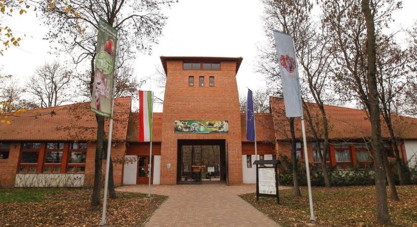 Így élvezi a tavaszt a Szegedi Vadaspark kis lakója