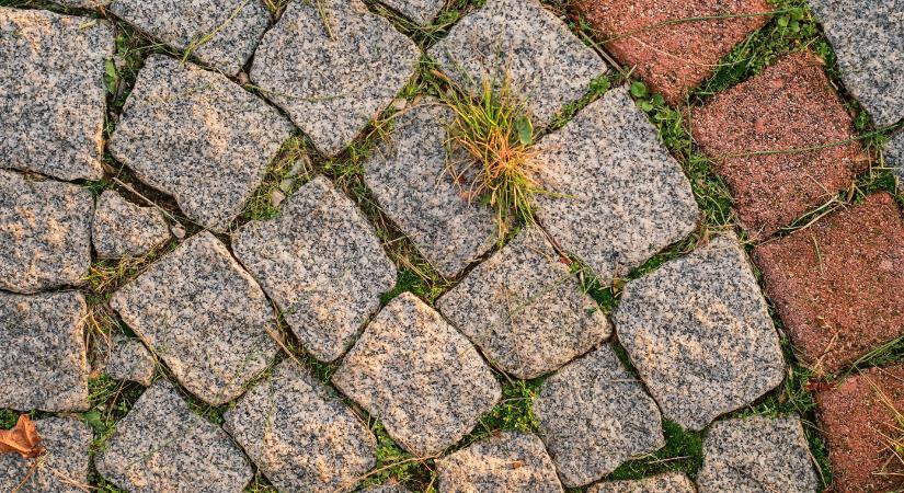 Így tüntesse el a gyomot a térkövek közül gyorsan és tartósan