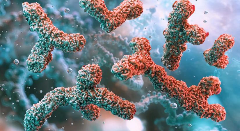 Horror: vérszívó szörnyekké változhatnak a saját bélbaktériumaink