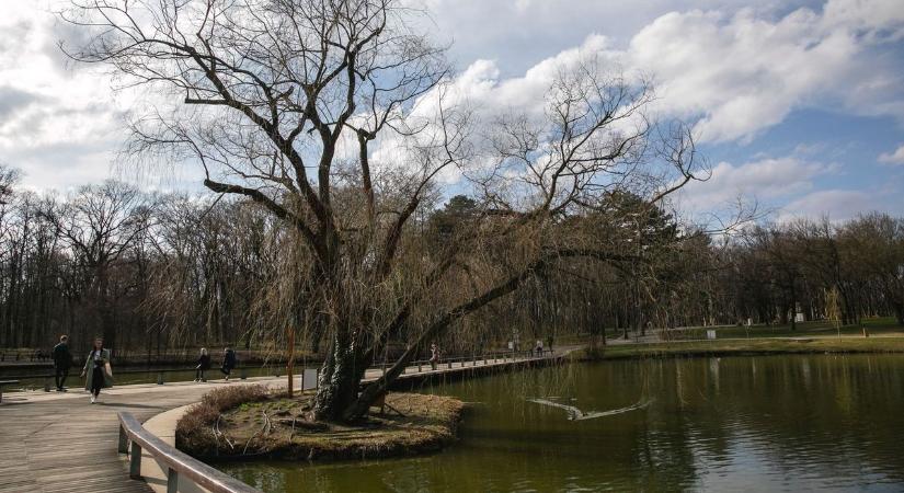Borongós reggel, enyhébb folytatás – ilyen lesz az időjárás holnap Hajdú-Biharban