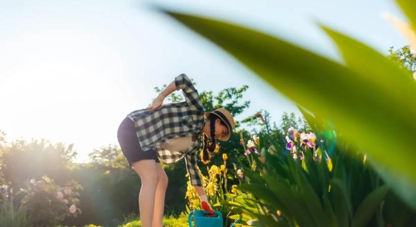 7 étrend-kiegészítő, ami kerti munkák idején kötelező