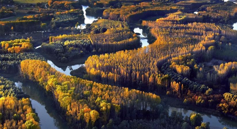Szigetköz kiemelt fejlesztési térséggé válhat, tanács jön létre és meghatározzák a fejlesztési terveket