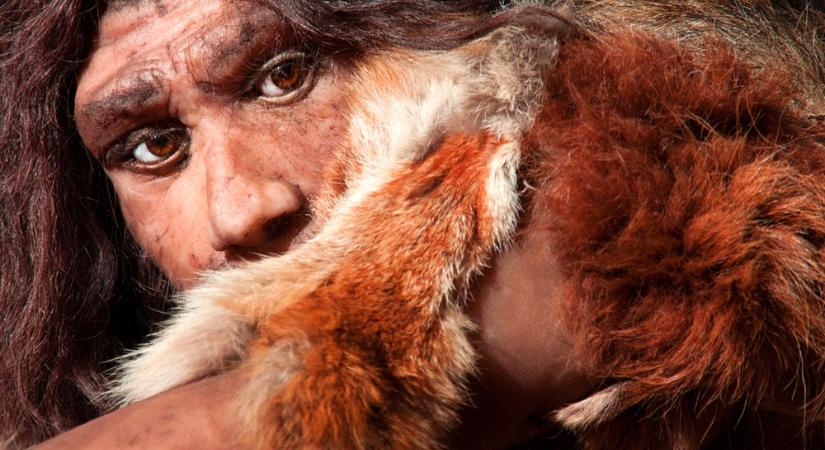 Az őskori nők teljesen odavoltak a neandervölgyi férfiakért