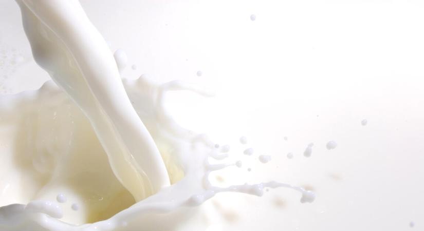 Versenyjogilag aggályos az importtej-embargó – vélik az OKSZ-nél