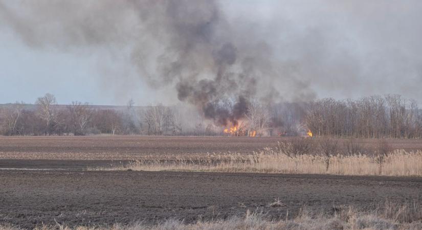 Hatalmas füst Sárbogárd előtt: lángra kapott a nádas, nagy erőkkel vonultak a tűzoltók