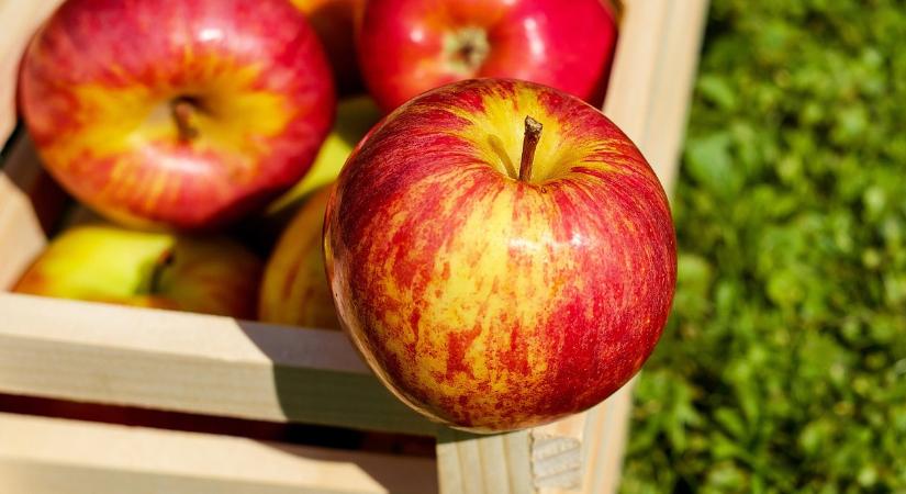 Reggel vagy este jobb almát enni? Meglepő a válasz