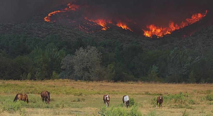 Szigorú tilalom és súlyos bírság jöhet két vármegyében: a száraz idő miatt van minden