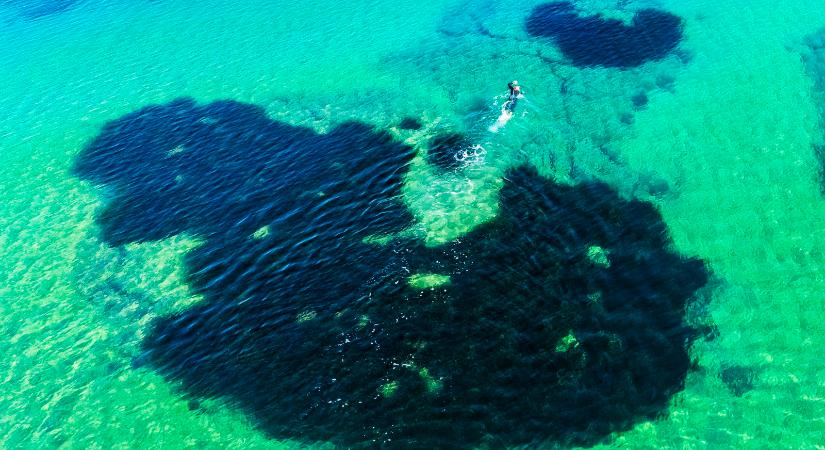 Új óceán születik a Földön, a szemünk láttára szakad ketté egy kontinens