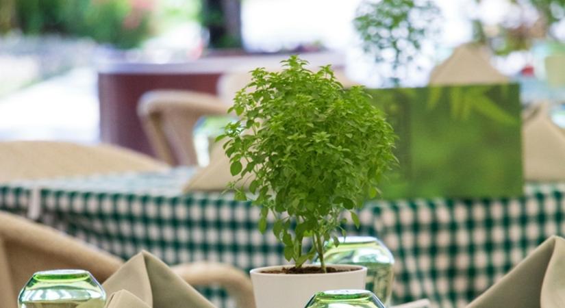 Elindult az Országos Étterem Hét a Balatonnál