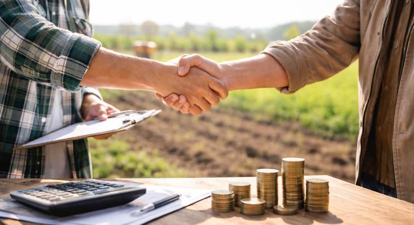 Új fix 3%-os agrárhitel indul: akár 50 millió forinttal segíthetik a kisebb vállalkozásokat