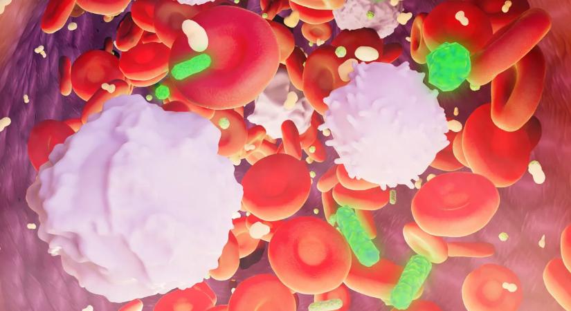 Milliók halnak meg a szuperbaktériumok miatt, a WHO szerint is súlyos a helyzet