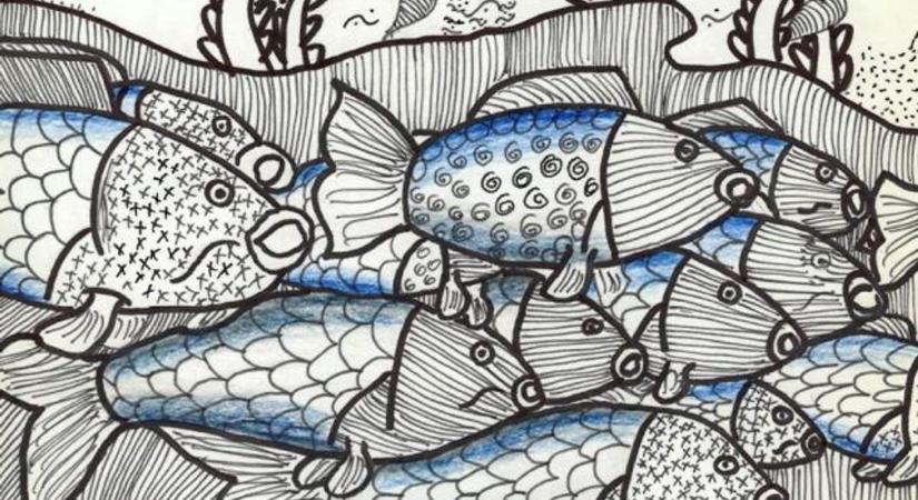 Élet a vízben: Rajzpályázatot hirdet a Duna-Dráva Nemzeti Park Igazgatóság