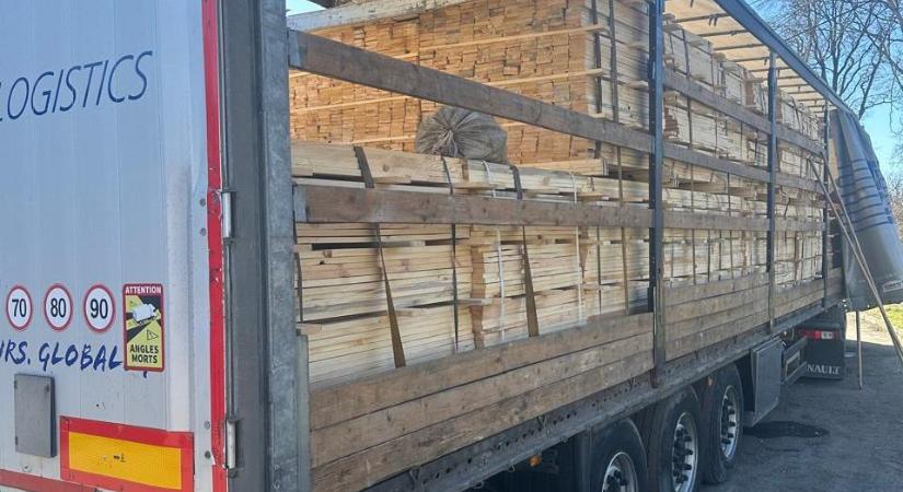 A Kárpátaljai Vámhivatal fenyőfa illegális exportját akadályozta meg Lengyelországba