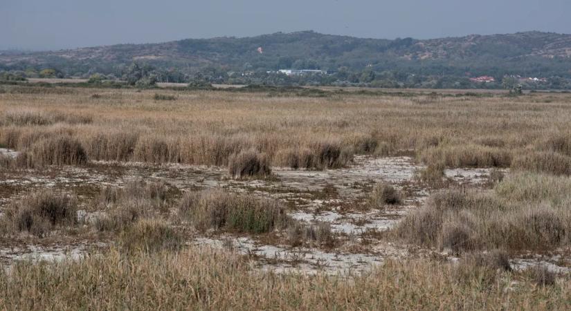 Alig kezdődött el a tavasz, máris nyakunkon az aszály