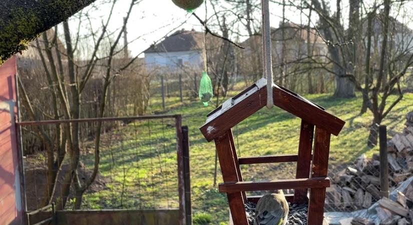 Veszélyt jelent a fiókákra a kint hagyott téli eleség